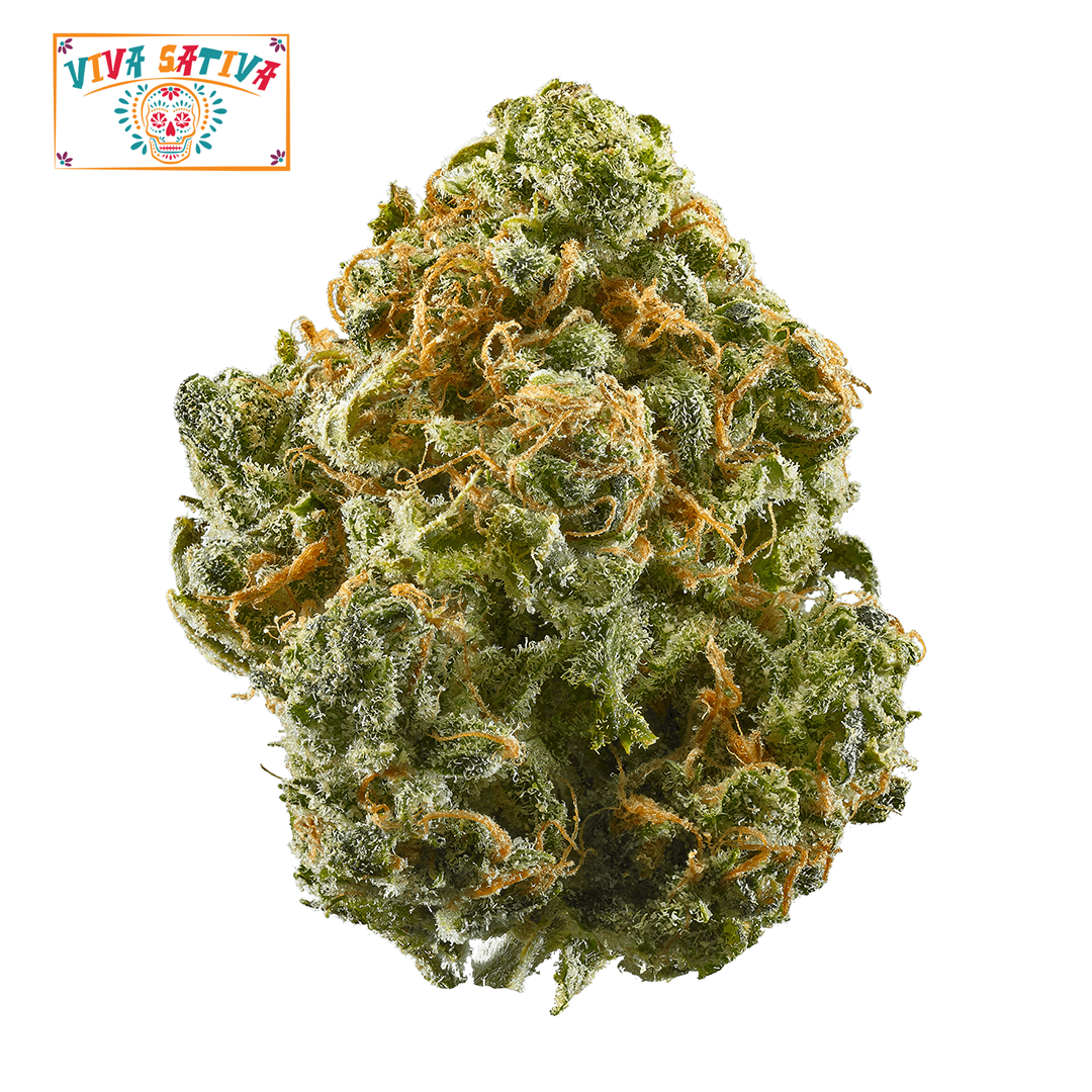 Viva Sativa - Sour D